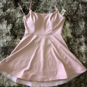 Windsor Blush Pink Dress NWT